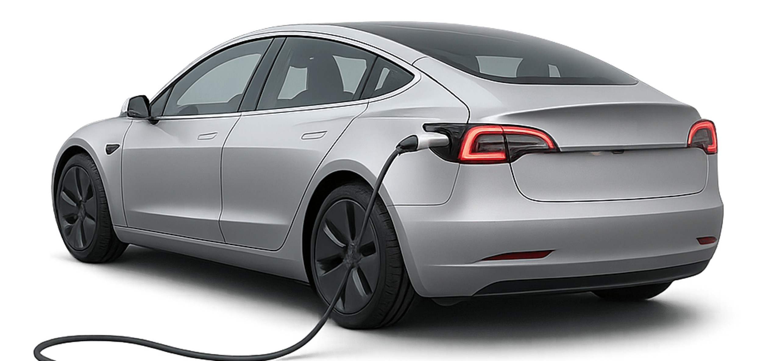 Electric vehicle industry